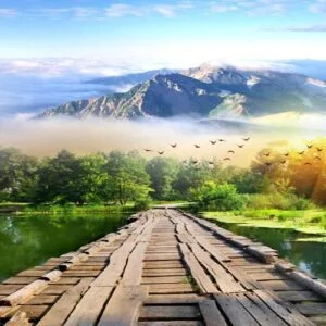 پوستر دیواری طرح طبیعت کد:167