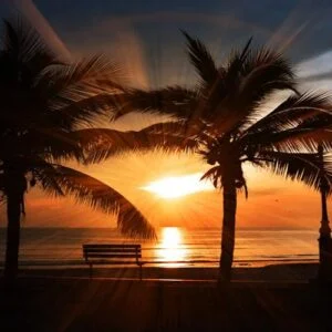 پوستر دیواری طرح طبیعت کد:4