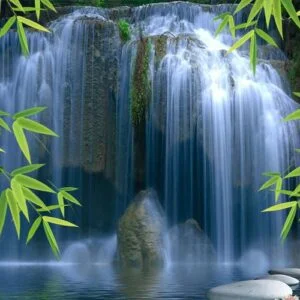 پوستر دیواری طرح طبیعت کد:62